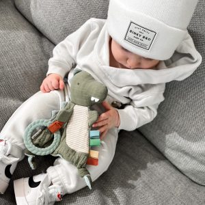 itzy ritzy-Bitzy Crinkle牙膠恐龍安撫玩偶